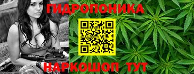 шишки Усть-Джегута